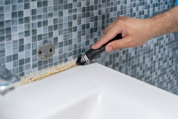 Best Professional Mold Removal  in Imperial, PA